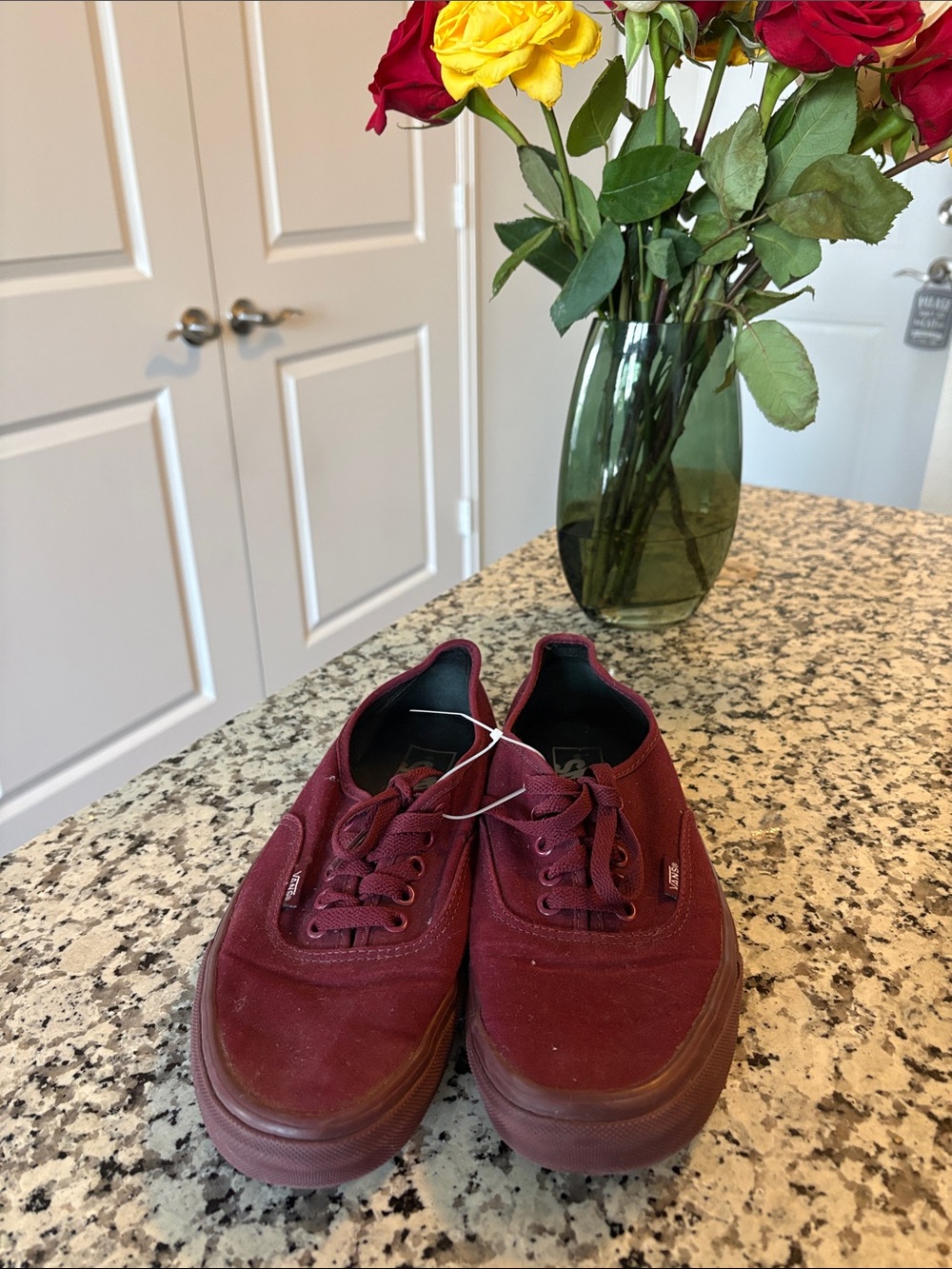 Vans Maroon Canvas Lace-Up Sneakers